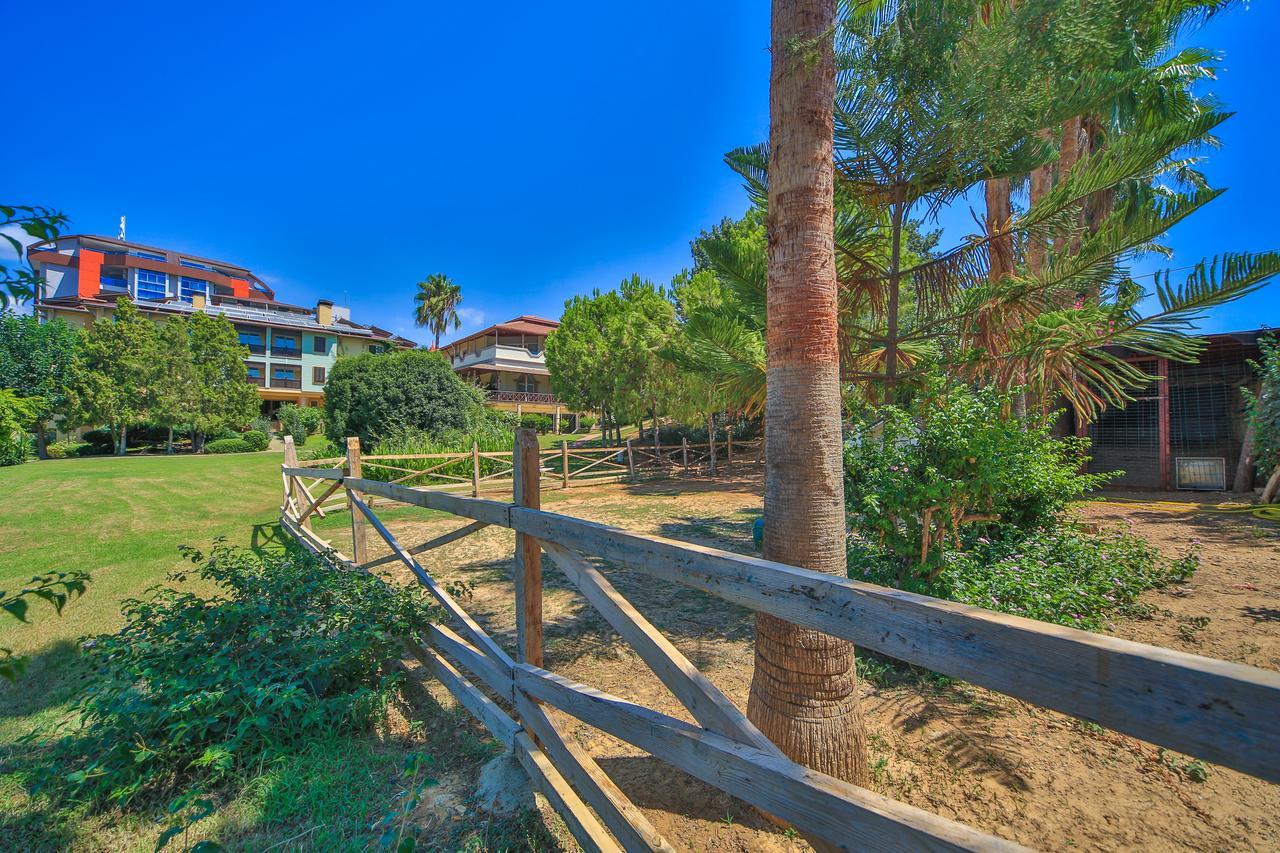Lonicera Resort & Spa Hotel Avsallar Exterior foto