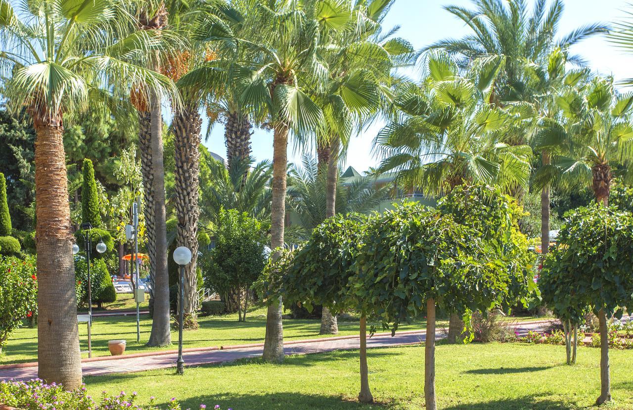 Lonicera Resort & Spa Hotel Avsallar Exterior foto